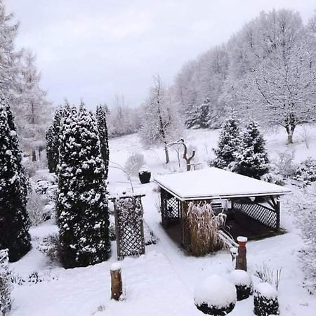 "Agroturystyka Pod Magnolia" Rybnica 33 Εξωτερικό φωτογραφία