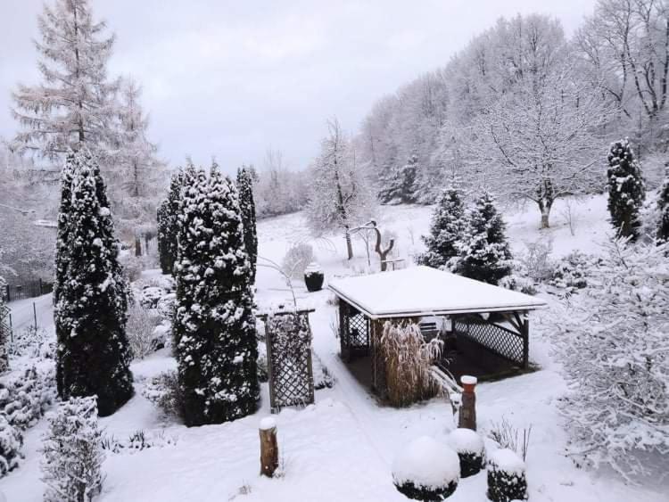 "Agroturystyka Pod Magnolia" Rybnica 33 Εξωτερικό φωτογραφία